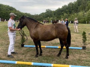 зображення_viber_2026-09-08_15-01-17-315